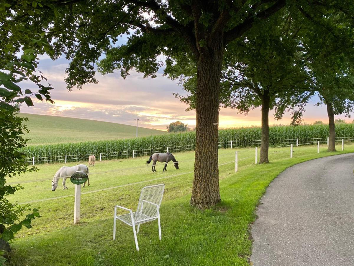 Gut Schwarz-N Hof Ferienwohnungen Bad Griesbach im Rottal Esterno foto