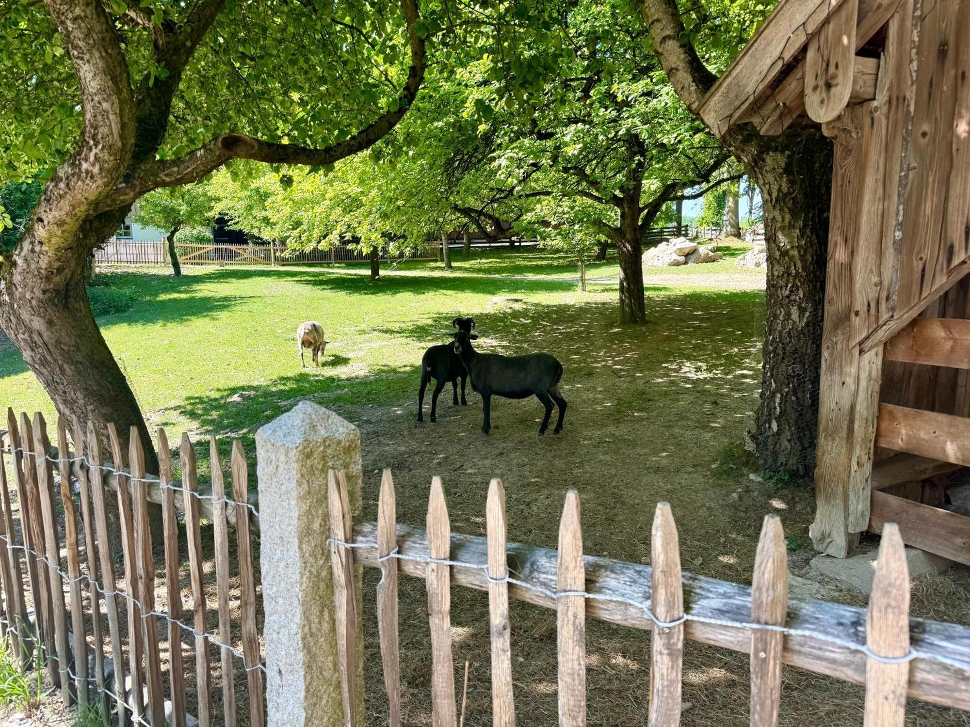 Gut Schwarz-N Hof Ferienwohnungen Bad Griesbach im Rottal Esterno foto